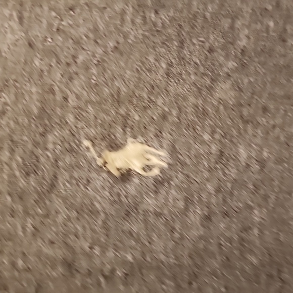 Polo by Ralph Lauren Polo - Picture 4 of 7